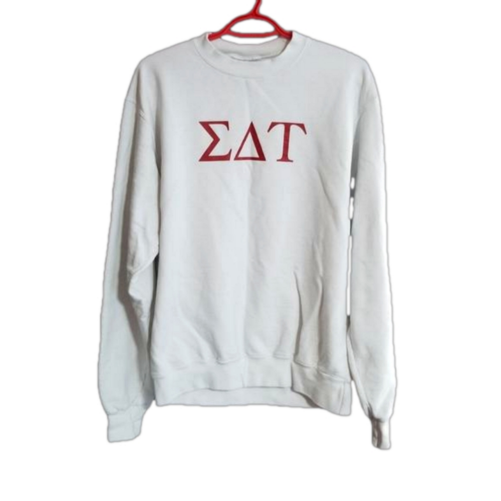 Champion ECO White And Red Crewneck Sweater Signa Delta Tau Cornell Size Medium - Picture 2 of 12